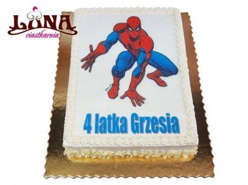 f-26-tort-spiderman-fototort