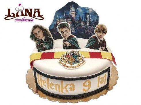 ex-120-tort-harry-potter-3d