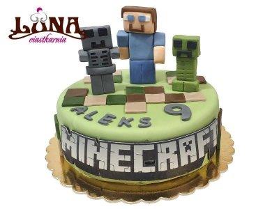 EX-141-TORT-MINECRAFT-3D